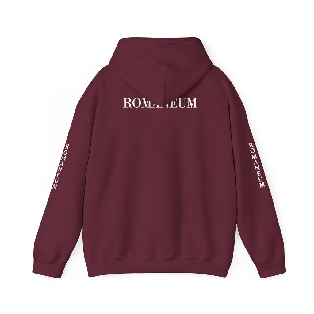 Think Like God Hoodie — Graphic Religious Pullover with Romaneum Sleeve Print