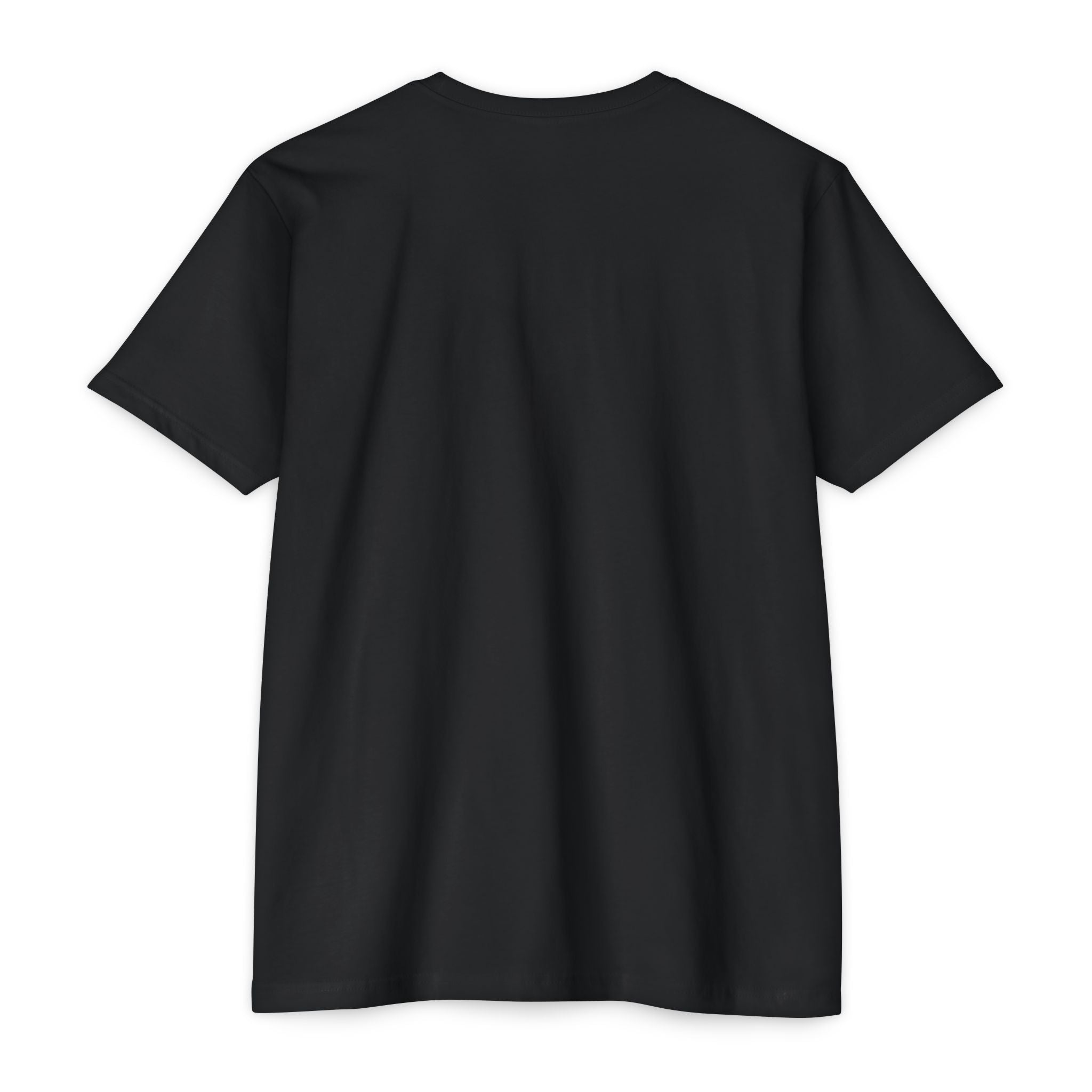 Romaneum Classic Tee — Minimalist Latin-Inspired Graphic T-Shirt