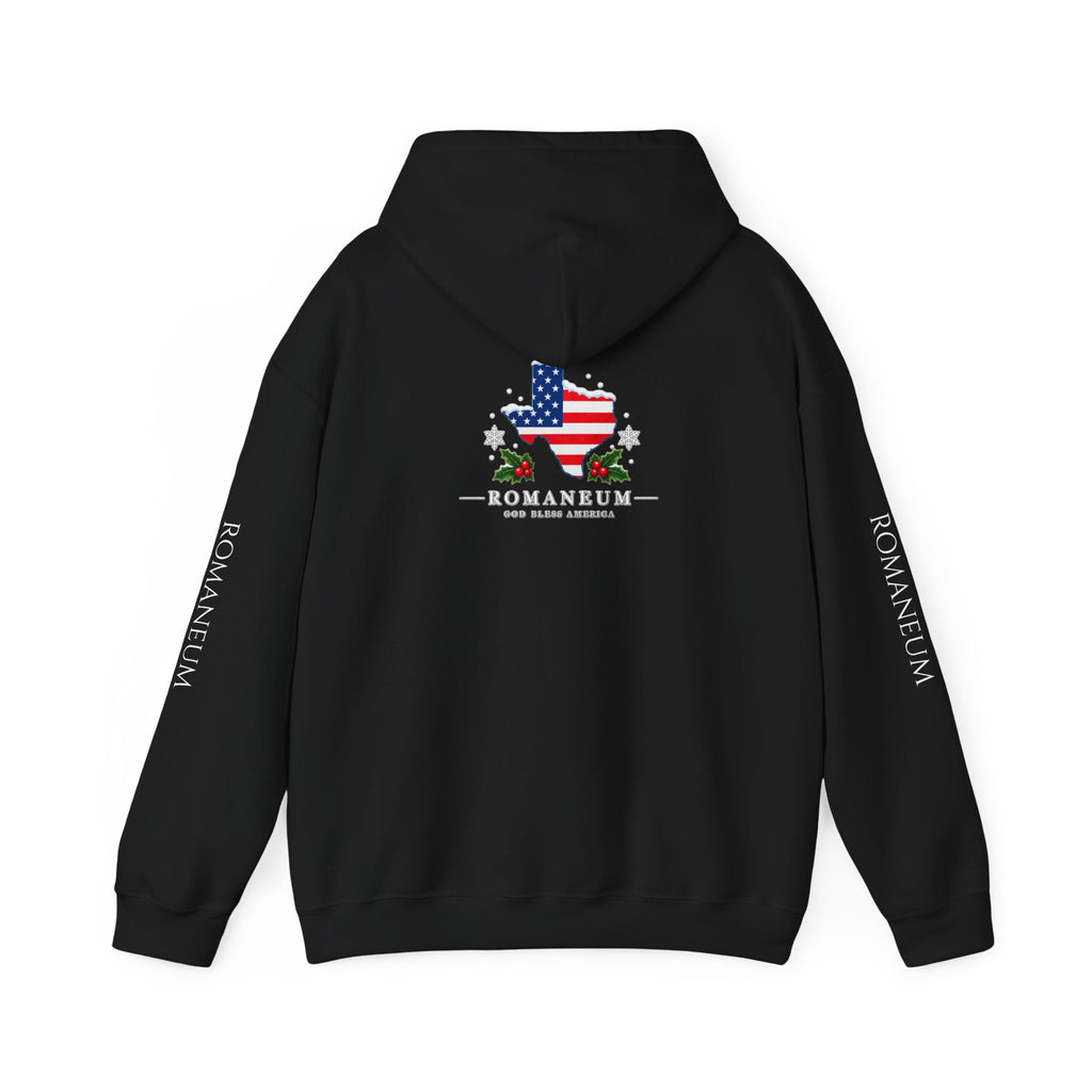 American Flag Texas Hoodie — God Bless America Patriotic Pullover