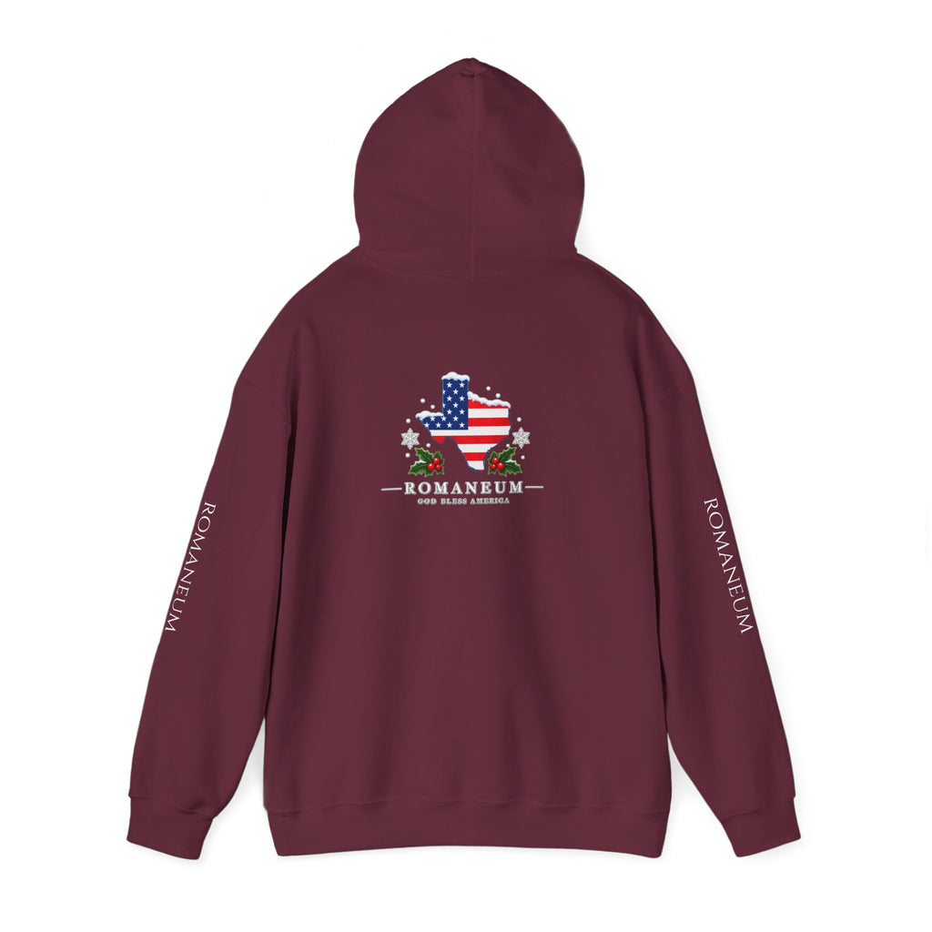 American Flag Texas Hoodie — God Bless America Patriotic Pullover