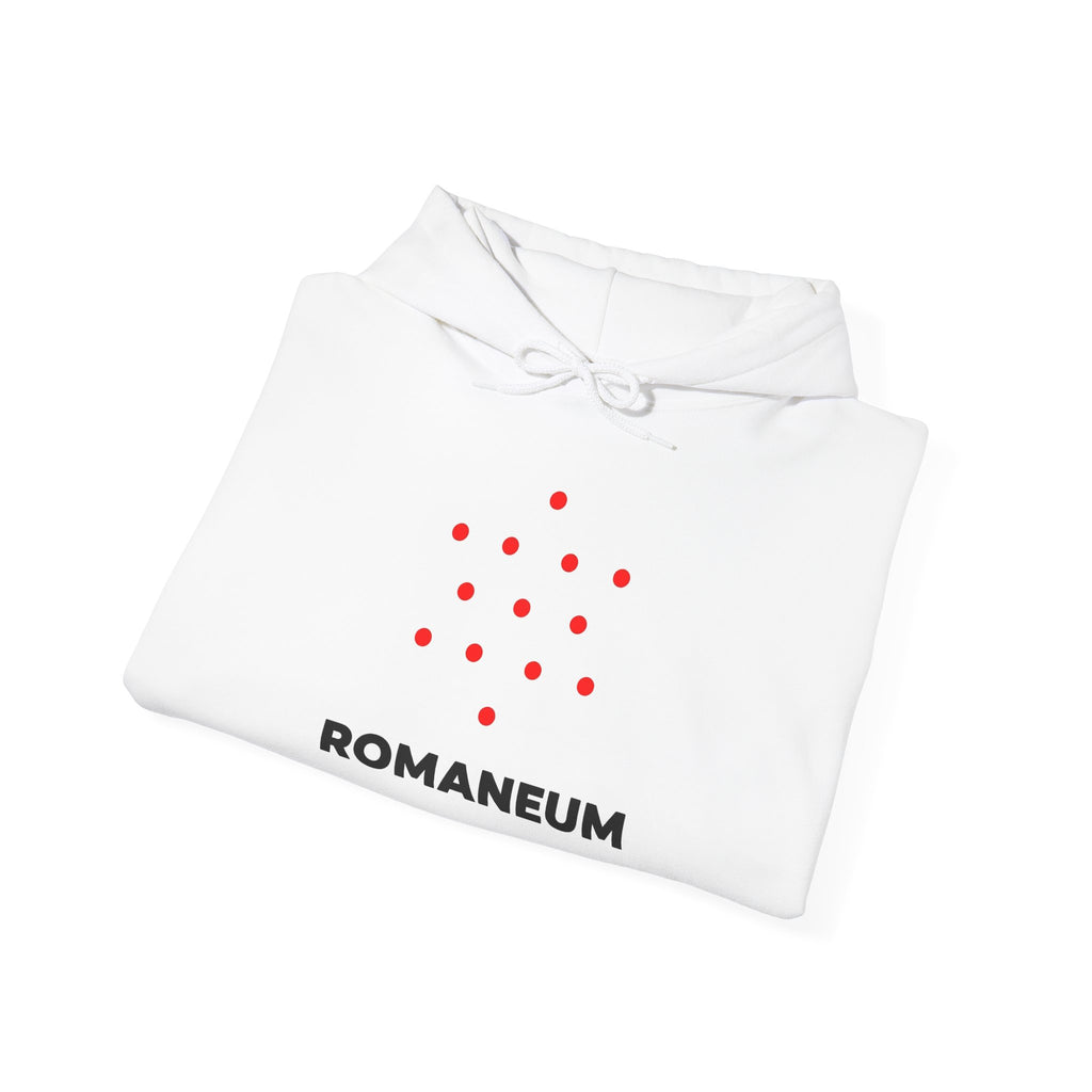 Romaneum Heavy Blend Hoodie | Flag & 13